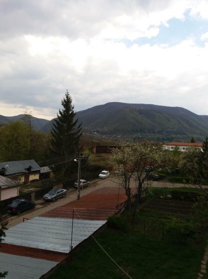 Apartament Elefant Tg. Ocna Apartment Tirgu Ocna Exterior photo