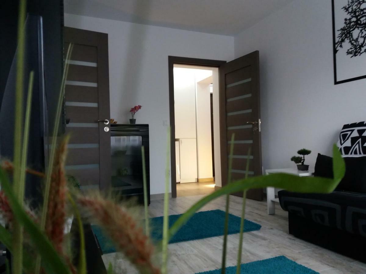 Apartament Elefant Tg. Ocna Apartment Tirgu Ocna Exterior photo